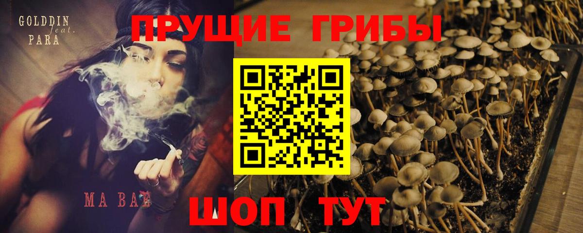 Каменск-Шахтинский  Галлюциногенные грибы Psilocybine cubensis  Вход с VPN 